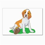 Beagle Postcard 4  x 6 