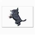 Chihuahua Postcard 4 x 6  (Pkg of 10)