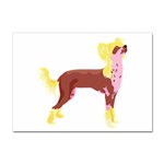 Chinese Crested Sticker A4 (100 pack)