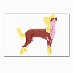 Chinese Crested Postcard 4  x 6 