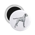 Dalmation 2.25  Magnet