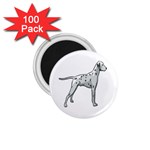 Dalmation 1.75  Magnet (100 pack) 