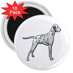 Dalmation 3  Magnet (10 pack)