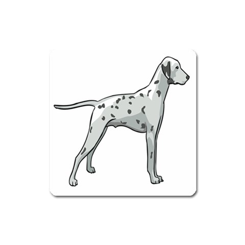 Dalmation Magnet (Square) from ArtsNow.com Front