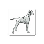 Dalmation Magnet (Square)