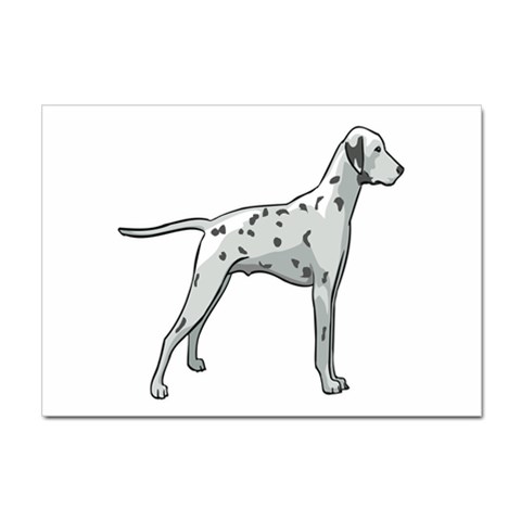 Dalmation Sticker A4 (100 pack) from ArtsNow.com Front