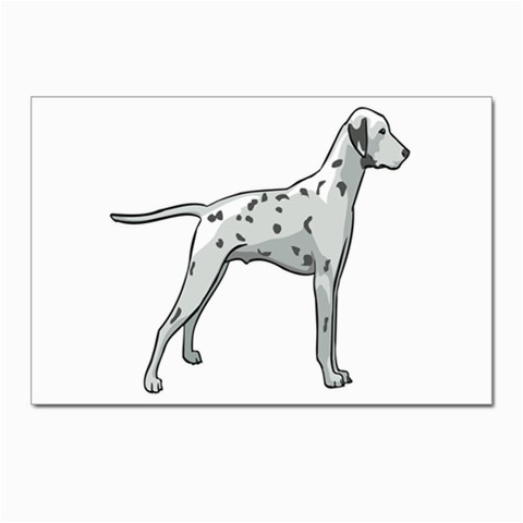 Dalmation Postcard 4 x 6  (Pkg of 10) from ArtsNow.com Front