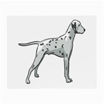 Dalmation Glasses Cloth