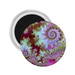 Raspberry Lime Delight, Abstract Ferris Wheel 2.25  Magnet