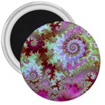 Raspberry Lime Delight, Abstract Ferris Wheel 3  Magnet