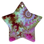 Raspberry Lime Delight, Abstract Ferris Wheel Star Ornament (Two Sides)