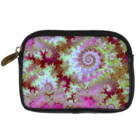 Raspberry Lime Delight, Abstract Ferris Wheel Digital Camera Leather Case from ArtsNow.com Front