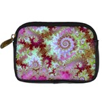 Raspberry Lime Delight, Abstract Ferris Wheel Digital Camera Leather Case Raspberry Lime Delight, Abstract Ferris Wheel Digital Camera Leather Case
