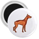 Doberman 3  Magnet