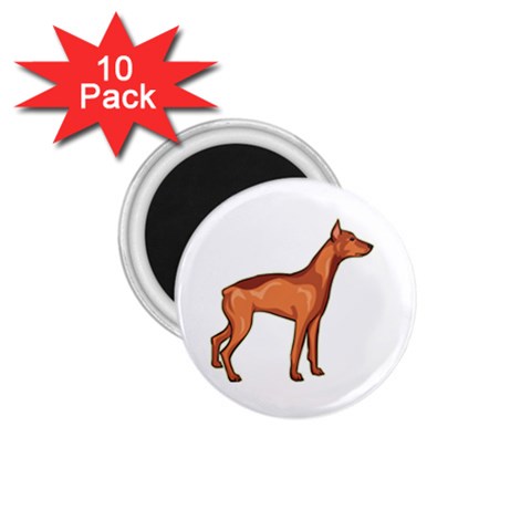 Doberman 1.75  Magnet (10 pack)  from ArtsNow.com Front