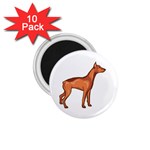 Doberman 1.75  Magnet (10 pack) 