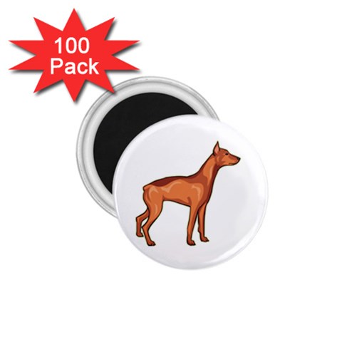 Doberman 1.75  Magnet (100 pack)  from ArtsNow.com Front