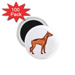 Doberman 1.75  Magnet (100 pack) 