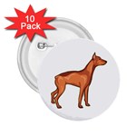 Doberman 2.25  Button (10 pack)