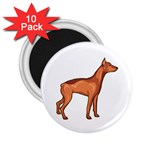 Doberman 2.25  Magnet (10 pack)