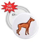 Doberman 2.25  Button (100 pack)