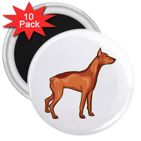Doberman 3  Magnet (10 pack) from ArtsNow.com Front