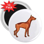 Doberman 3  Magnet (10 pack)