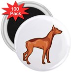 Doberman 3  Magnet (100 pack)