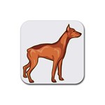 Doberman Rubber Coaster (Square)