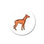 Doberman Magnet 3  (Round)