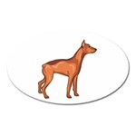 Doberman Magnet (Oval)