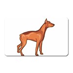 Doberman Magnet (Rectangular)