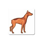 Doberman Magnet (Square)