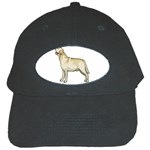 Labrador Retriever Black Cap