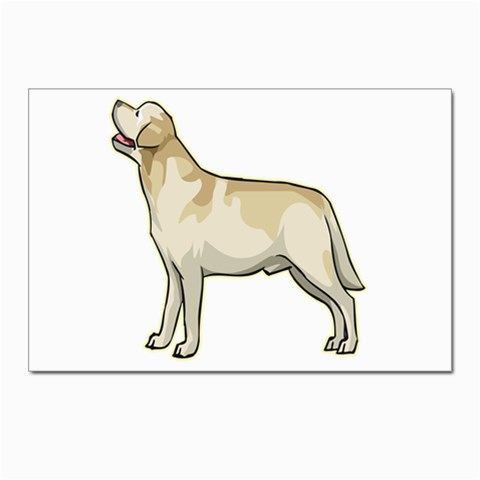 Labrador Retriever Postcard 4 x 6  (Pkg of 10) from ArtsNow.com Front