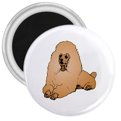 Poodle 3  Magnet from ArtsNow.com Front