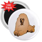 Poodle 3  Magnet (100 pack)