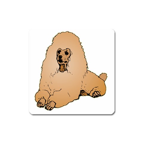 Poodle Magnet (Square) from ArtsNow.com Front