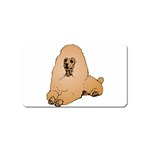 Poodle Magnet (Name Card)