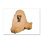 Poodle Sticker A4 (10 pack)
