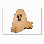Poodle Postcard 5  x 7 