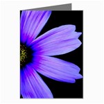 Purple Bloom Greeting Card (8 Pack)