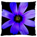Purple Bloom Large Cushion Case (Two Sided) 