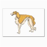 Borzoi Postcard 5  x 7 