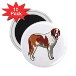 St. Bernard 2.25  Magnet (10 pack)