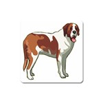 St. Bernard Magnet (Square)