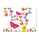 Butterfly Beauty A4 Sticker 10 Pack