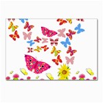 Butterfly Beauty Postcard 4 x 6  (10 Pack)