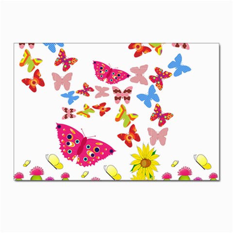 Butterfly Beauty Postcards 5  x 7  (10 Pack) from ArtsNow.com Front