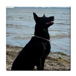 Black German Shepherd Ceramic Tile